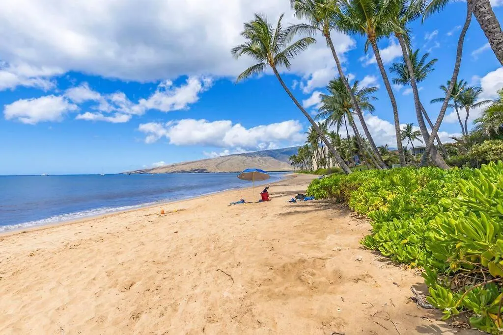Nani Kai Hale 208- Beachfront 1 Bedroom 2 Bathroom Condo, Oceanview Kihei